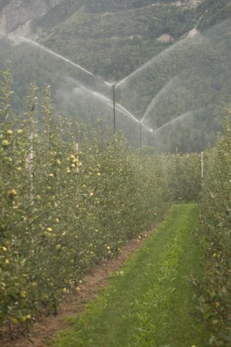 Irrigazione per agricoltura -