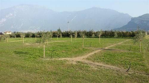 Irrigazione per agricoltura -